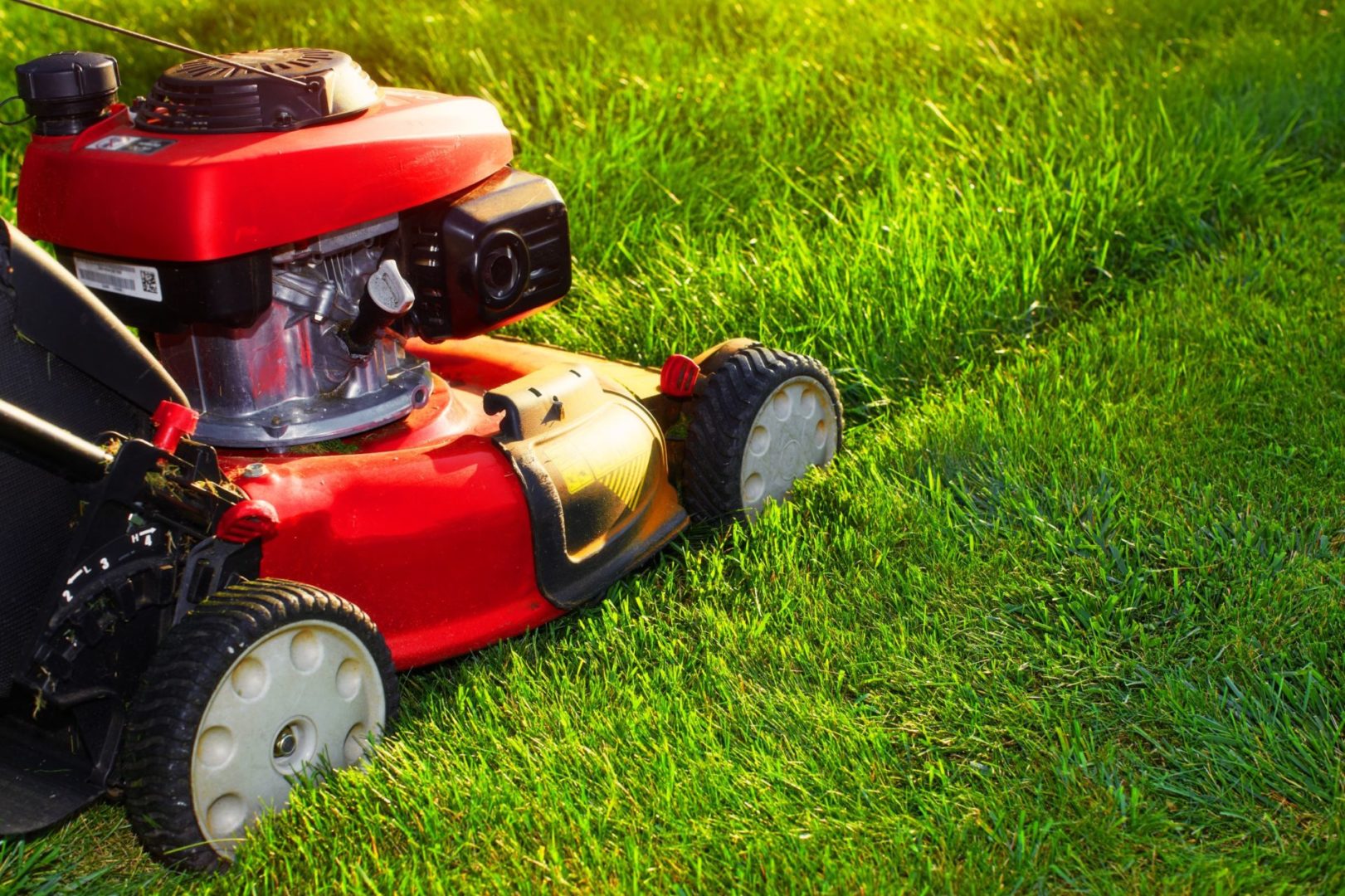 Cheapest Lawn Mowing Services Wanganui